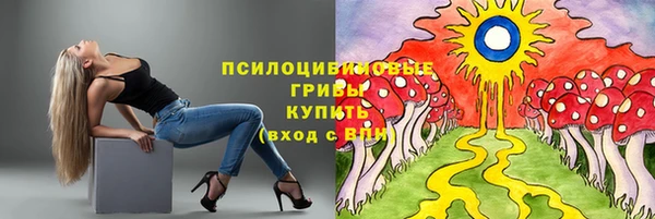 круглые Горно-Алтайск