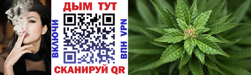 Канабис SATIVA & INDICA  кракен вход  Жуков  купить наркоту 